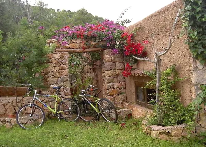 Casa Naya
